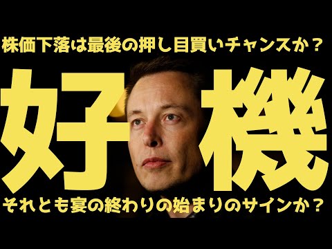 【好機】現在の株価低迷はテスラ終了の合図か?それとも好機か?客観的な判断材料とは? | #テスラ株全力ちゃんねるのタイツ #47