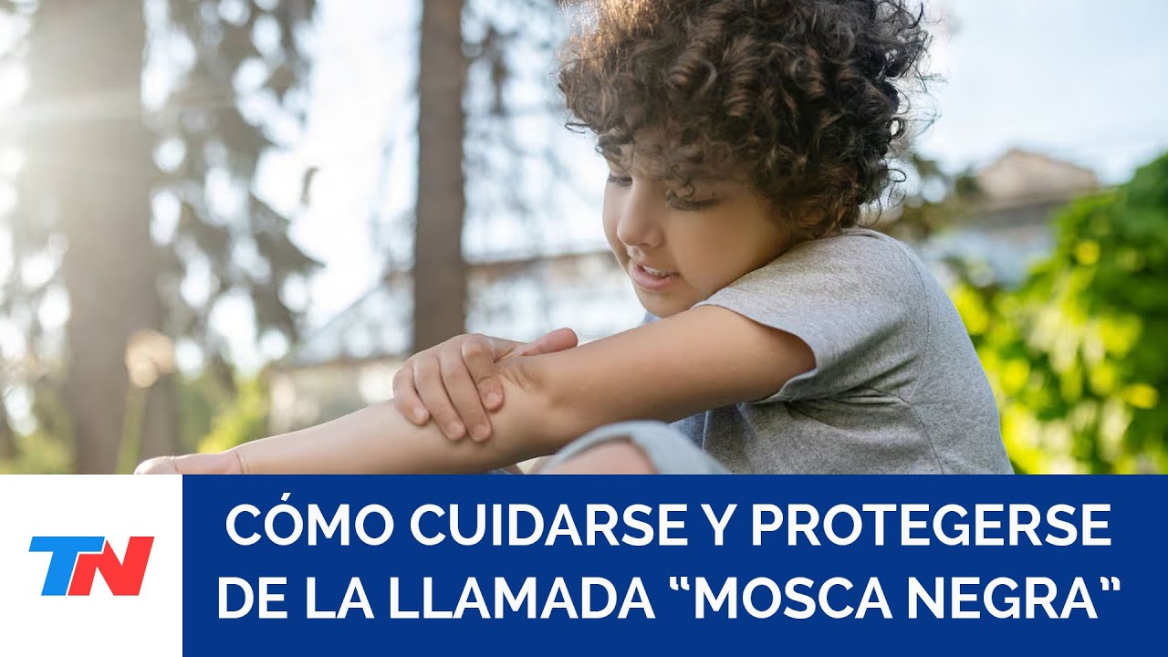 Barigüí, cómo evitar los ataques del insecto que muerde y aparece cerca del agua en verano