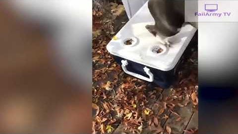 FailArmy TV: Go for Broke  Breaking Things