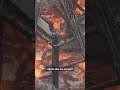 Este templo japonés en el que ardía la "llama eterna" quedó devastado por el fuego