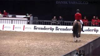 Clinique - Edward Gal - 2010 - Part 6