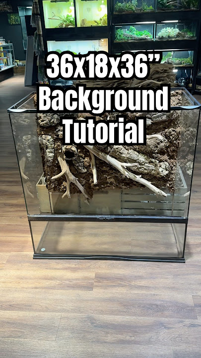 Download lagu Build a 36x18x36” Background #bioactive #terrarium #livingvivarium #reptiles #background #tutorial