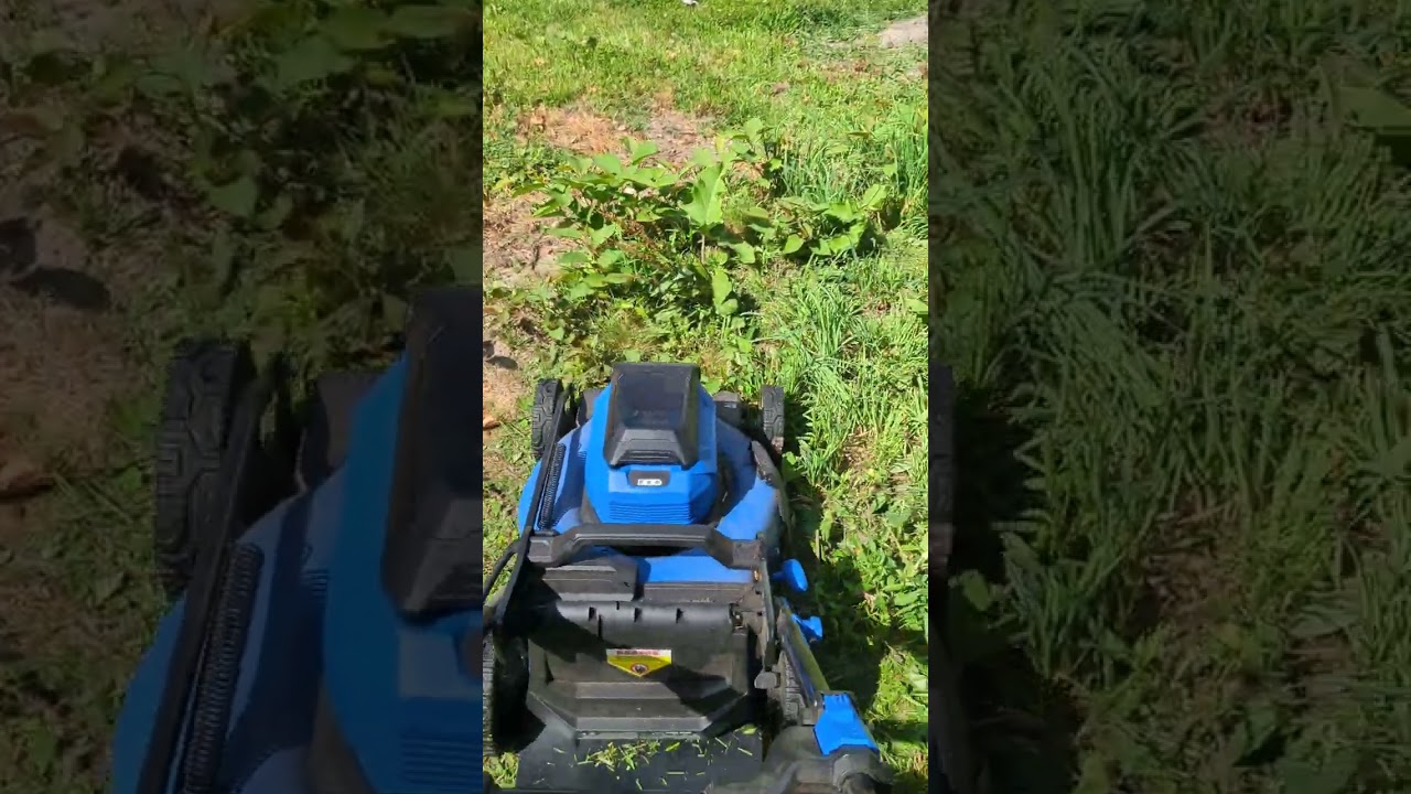 Brushless 40v kobalt electric lawnmower cutting 2ft high grass