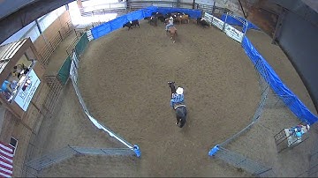 Big Sky Ranch Sorting Saddle Series #4 - #9 HC SORT - Round #2 - Ride #19