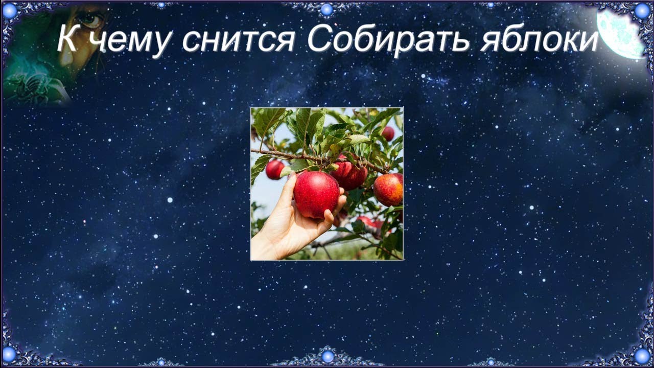 К чему снится Собирать яблоки (Сонник)