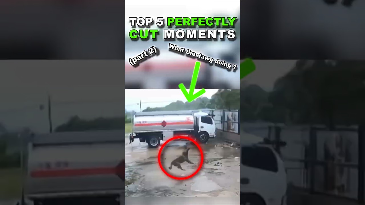 Top 5 PERFECTLY cut moments #funny #shorts #memes (part 2)