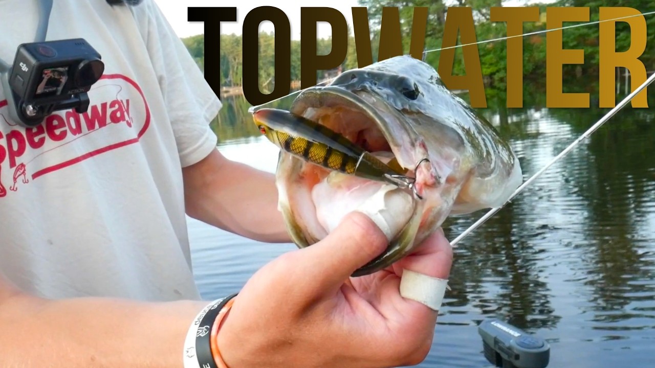They Were CRUSHING The Topwater!