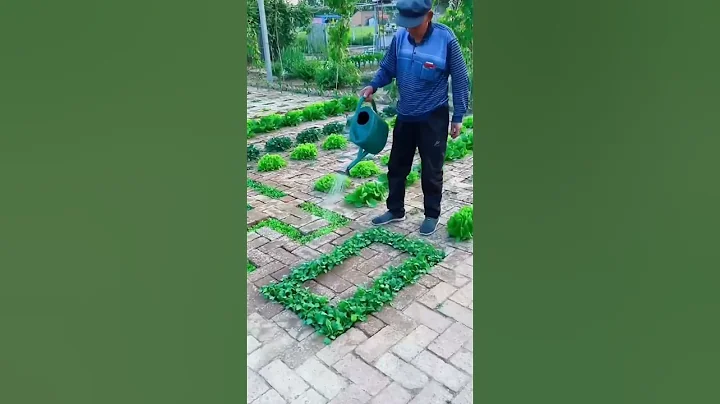 Super Gardening 😉 #satisfying #short - DayDayNews