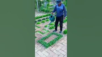 Thumbnail of Super Gardening 😉 #satisfying #short