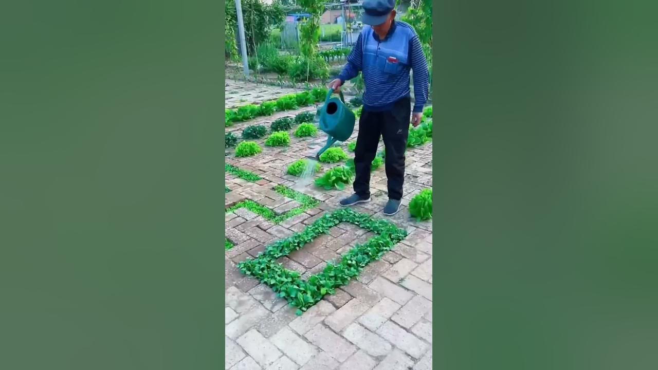Super Gardening 😉 #satisfying #short