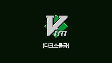 고인물 개발자용 Vim 에디터 빠른 사용법