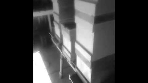 5 frame nuc and double screen