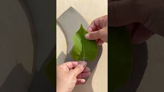 Making Lilac Leaf Imprint.