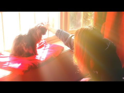 Birthdays and Sad Goodbyes 💔 Farewell, Moochie