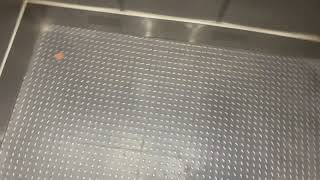 Haughton Hydraulic Elevator at Macy’s at Woodbridge Center - Woodbridge NJ