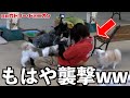 犬担当の飼育員が、3連休以上の休みを取って出勤すると…