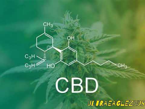 Pure Vera CBD Gummies: The Purity and Potency Debate