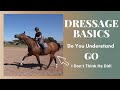Dressage Basics | Getting a Horse to Go