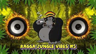 Ragga Jungle Drum Bass Vibes Reggae Dnb Mix