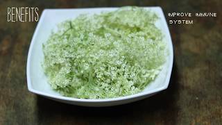 How to Cook Elderflower Syrup (bezgov sirup)