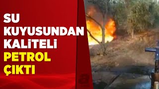 Manisa'da zeytin tarlasından petrol çıktı | A Haber