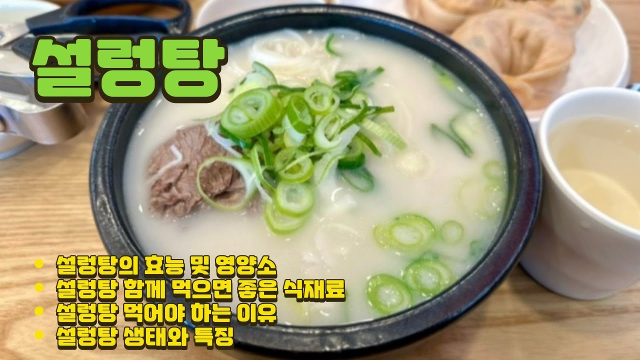 설렁탕 효능 5가지 I 설렁탕 맛있게 먹는 법 I 설렁탕 건강에 좋은 점 I 설렁탕 같이 먹으면 어울리는 재료 - YouTube