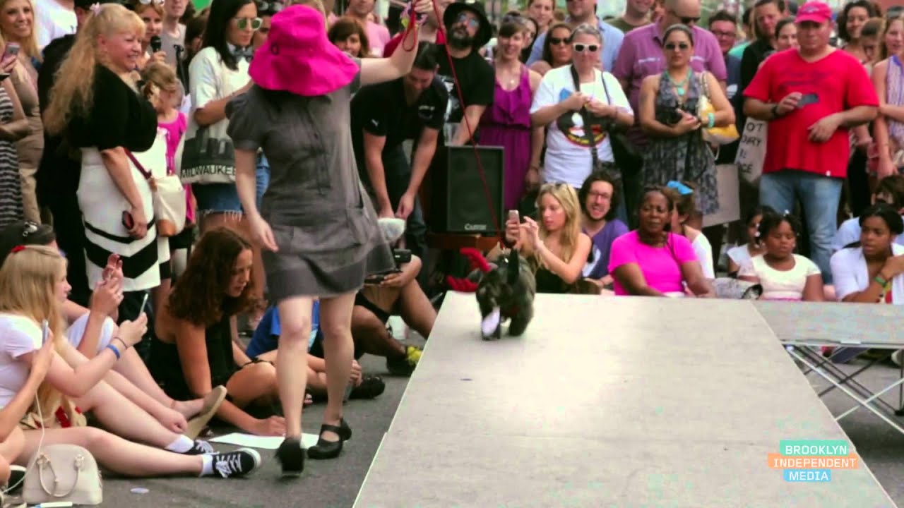 bric tv ballet Doggie Fashion Show: BK Stories