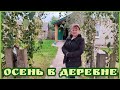 ПОЛУЧАЕМ и ОТПРАВЛЯЕМ