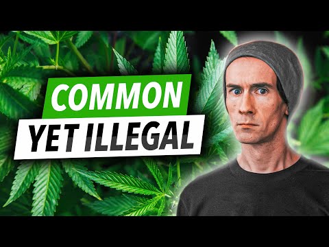 Japan's Problem With Marijuana (japan Q&a)