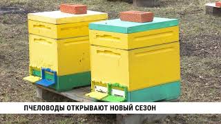 Пчеловоды Хабаровского Края Открывают Новый Сезон