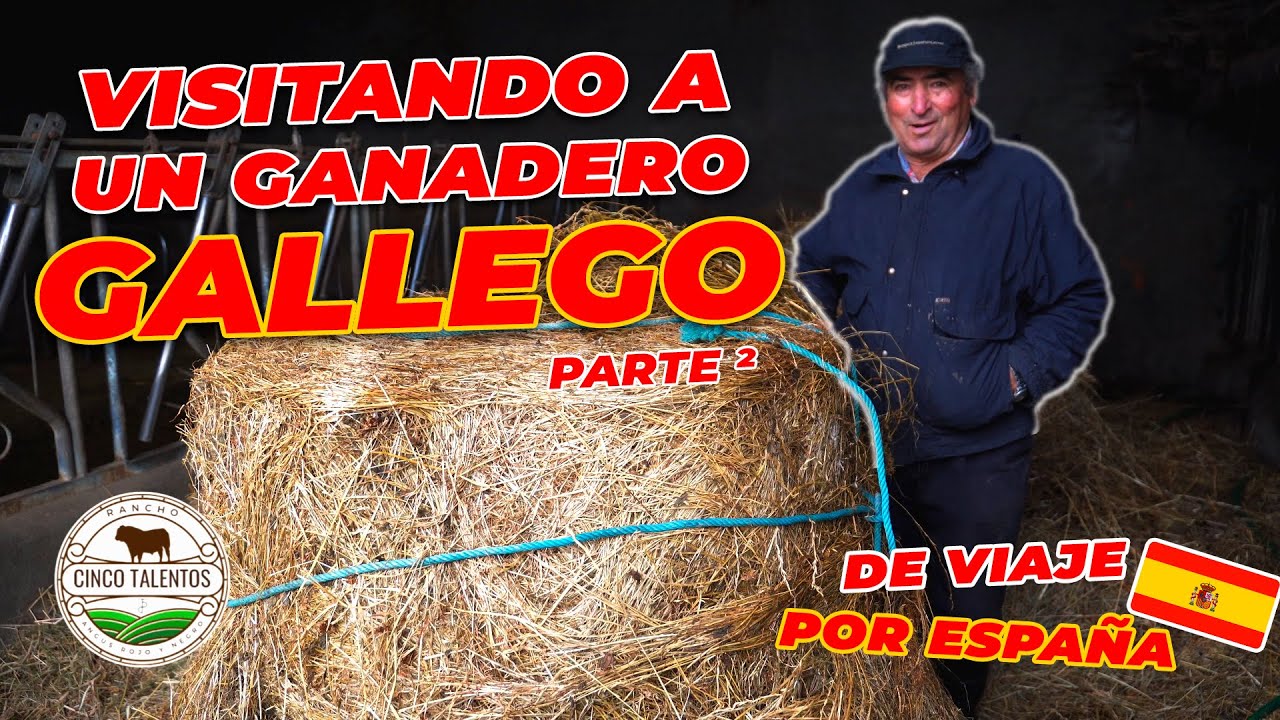 DE VIAJE POR ESPAÑA: CONOCIENDO A UN GANADERO GALLEGO | PARTE 2 | Rancho Cinco Talentos