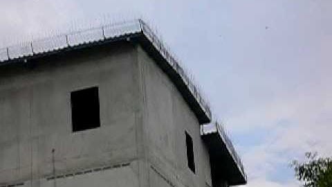 Swiftlets Responded with Vuthmail Swiftlet Sound Improvment-2