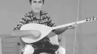 Van Muradiye Li Turgay