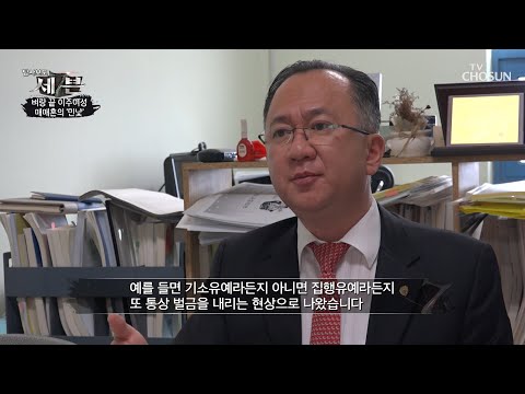 국제결혼 가정폭력 솜방망이 처벌.. 구속 거의 X | [탐사보도 세븐 127회] | TV CHOSUN 20201025 방송