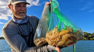 LOADED with prawns! Casting nets for a tasty meal