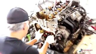 Timo s Auto Haus - Oil Change Promo