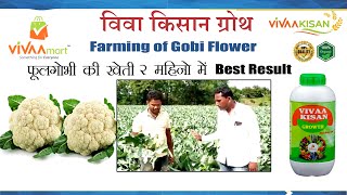 Farming of Gobi Flower ( फूलगोभी की खेती  )