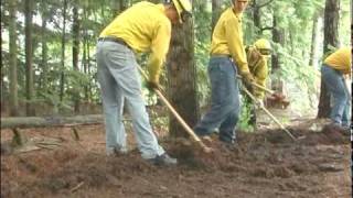 New Hampshire Fire Explorer Training Academy - Second Year Program