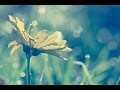 One day 　piano song