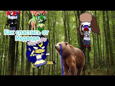 |Как Спастись От Медведя| Countryhumans