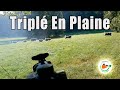 Triplé De Sangliers En Plaine // Une Scène Incroyable