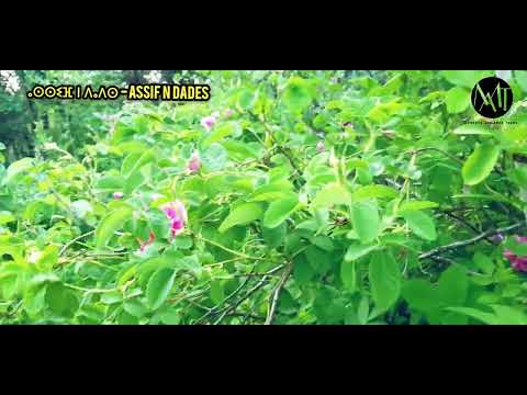 A Tour On The Dades And Roses Valley Kelaat Mgouna Boumalen Tamlalt Tesdrin Tinghir Morocco 4K 