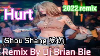 Hurt (Shou Shang 受伤) Hot Remix 2022 by Dj Brian Bie