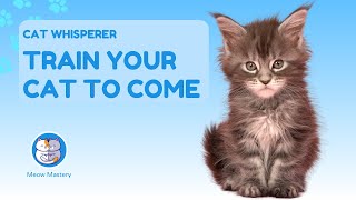 Cat Whisperer: Train Your Cat to Come When Called!