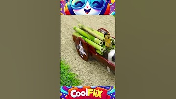 From Feed to Feeder: Understanding Mini Farm Animal Nutrition