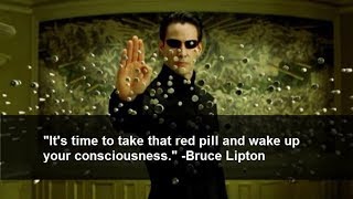 An Interpretation of "The Matrix" From Dr. Bruce Lipton & Other Stuff