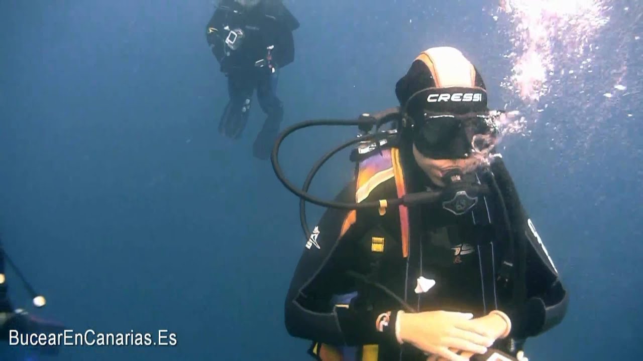 LANDIVE.ES - Inmersiones Los Gigantes 25 26 9 10