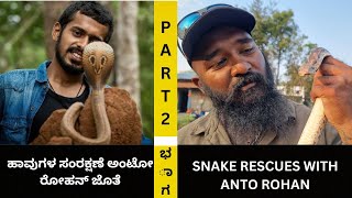 SNAKE RESCUE #84 (SNAKE RESCUES WITH ANTO ROHAN) PART 2