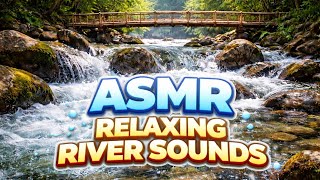 99% people Fall Asleep in Minutes 😴 Relaxing River Sounds with Bamboo Bridge | ASMR Nature Sleep