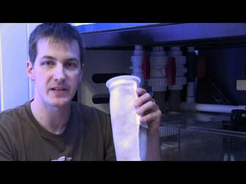 Mr. Saltwater Tank TV Friday Am Quick Tip #84: Look Before You Rinse